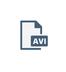 Version AVI