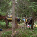 Pour le démontage du camp, deux mulets effectuent le gros du portage direction la vallée